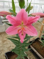 [5677 VZ W10 0999-01 No02.JPG]